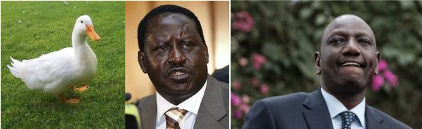 raila